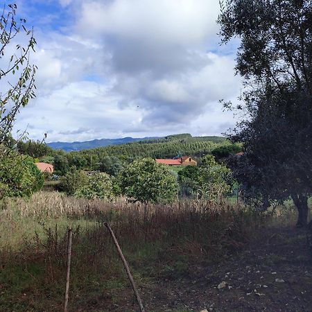 Alojamento Casa Do Cabeco Alombada Macinhata do Vouga 外观 照片