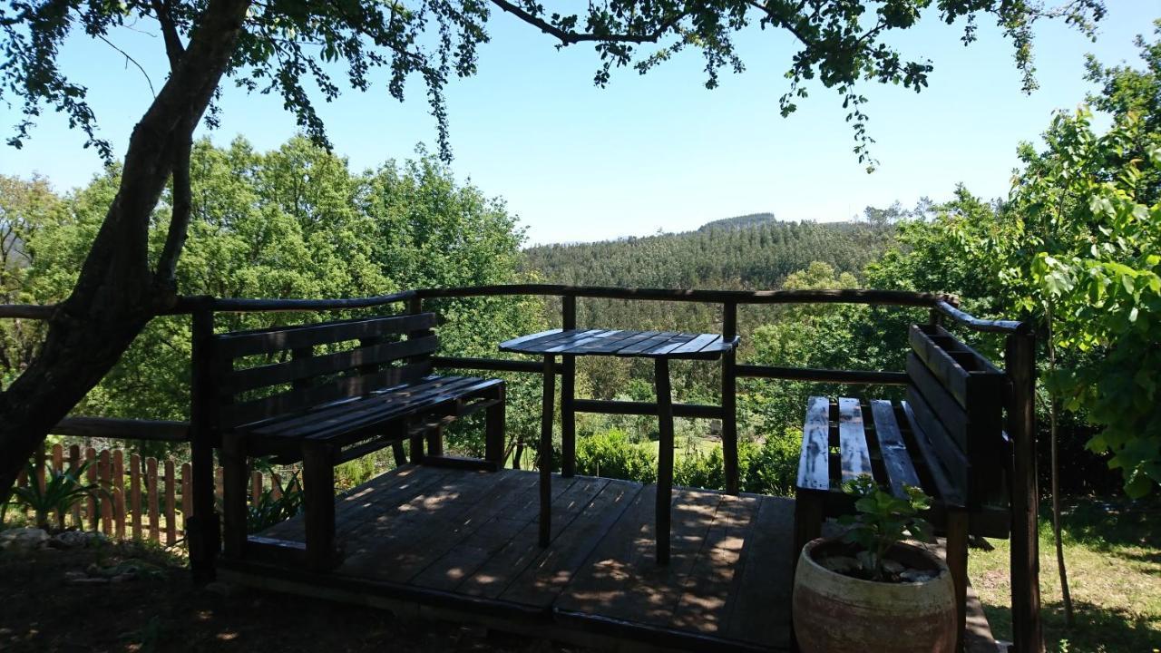 Alojamento Casa Do Cabeco Alombada Macinhata do Vouga 外观 照片