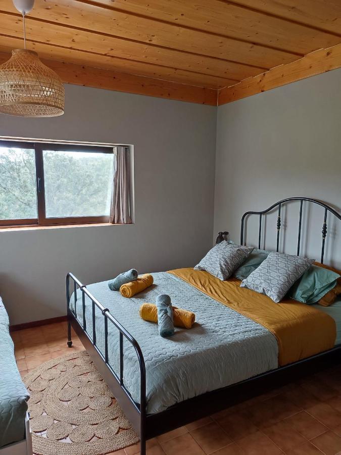 Alojamento Casa Do Cabeco Alombada Macinhata do Vouga 外观 照片