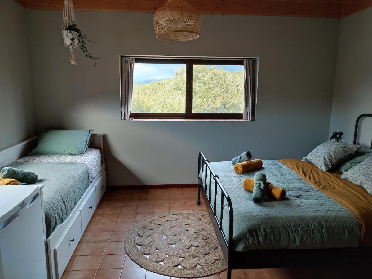 Alojamento Casa Do Cabeco Alombada Macinhata do Vouga 外观 照片