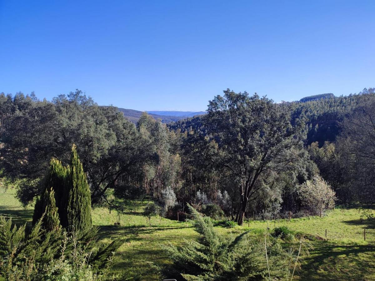 Alojamento Casa Do Cabeco Alombada Macinhata do Vouga 外观 照片