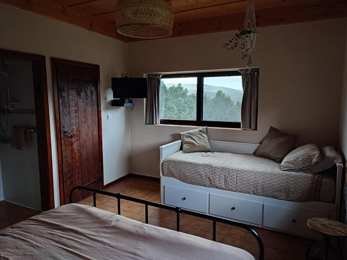 Alojamento Casa Do Cabeco Alombada Macinhata do Vouga 外观 照片