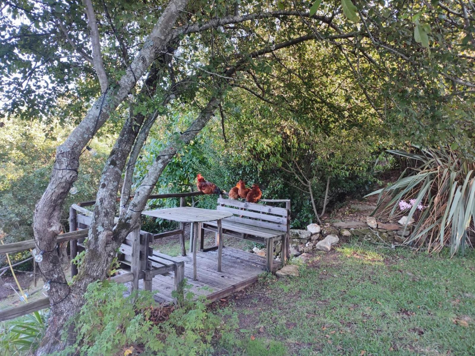 Alojamento Casa Do Cabeco Alombada Macinhata do Vouga 外观 照片