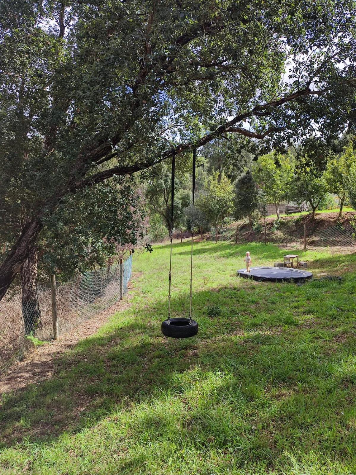 Alojamento Casa Do Cabeco Alombada Macinhata do Vouga 外观 照片